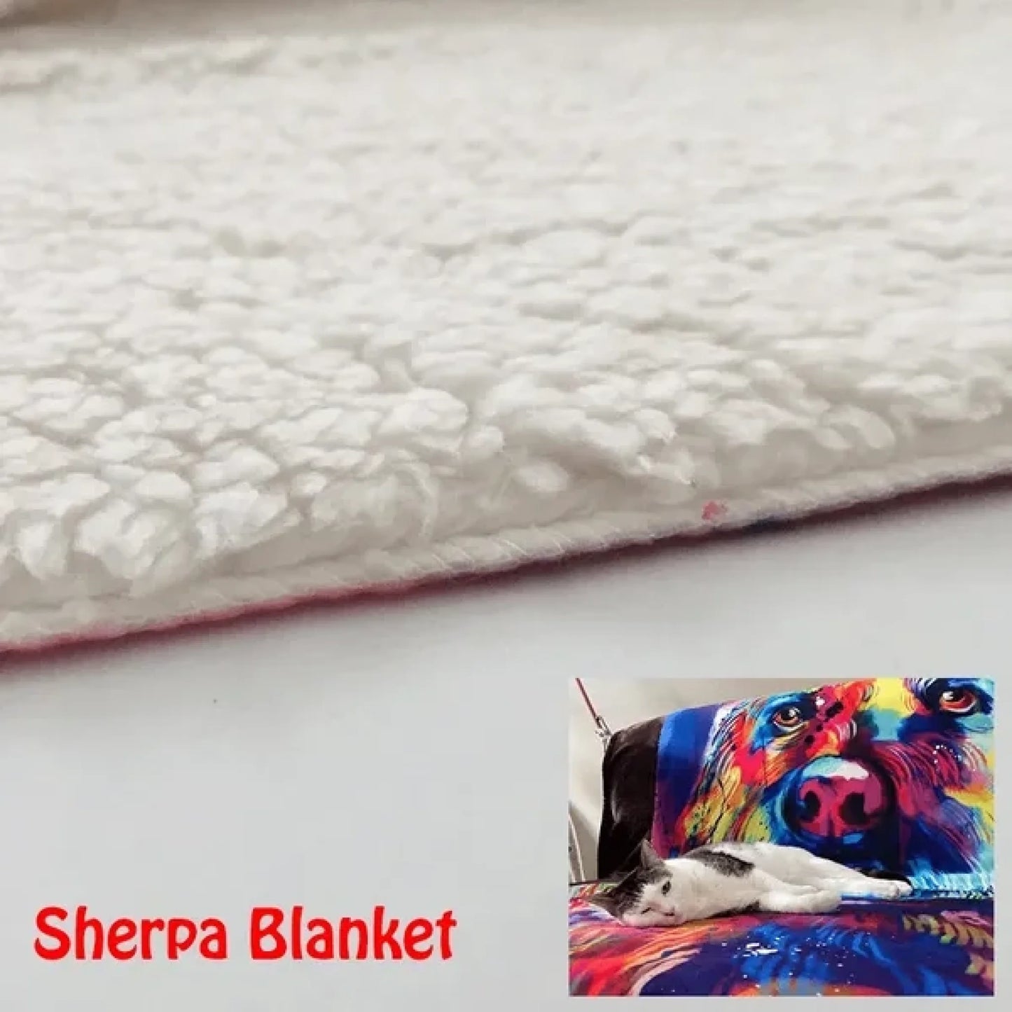 659f8c880605d_large