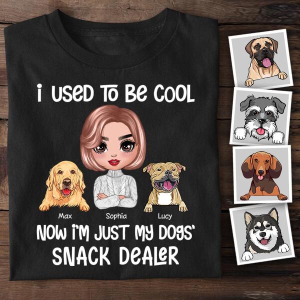 I Used To Be Cool Snack Dealer Dog Mom  Personalized T-shirt TS-NB1183