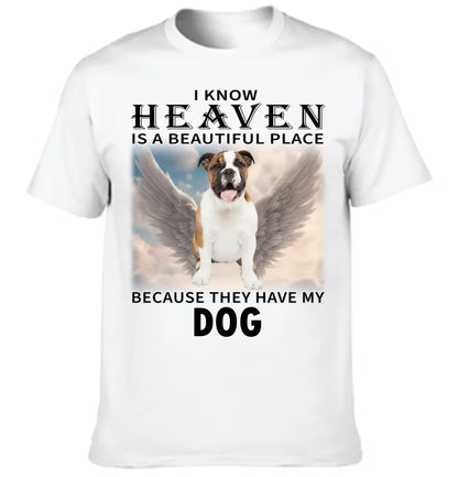 67e22fa1b3f61_large