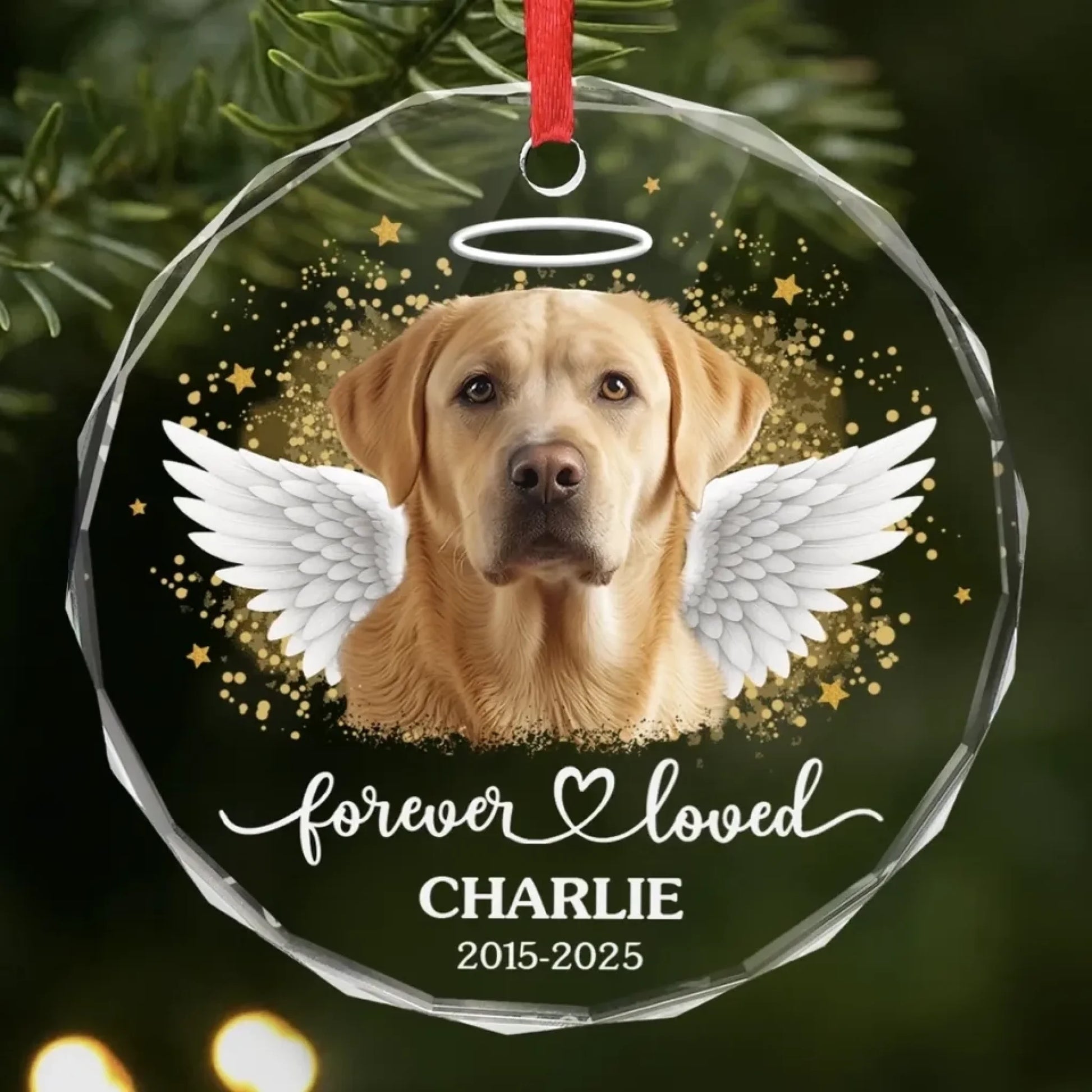 68f6179629b7a_large