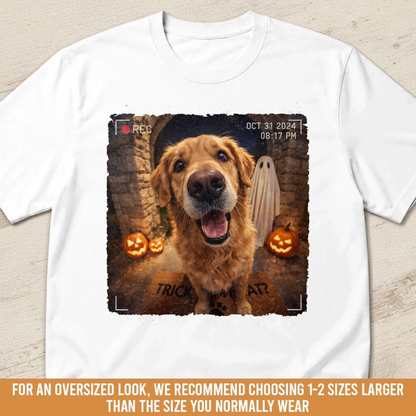260804_0CKjilYvI3fpor6q_large
