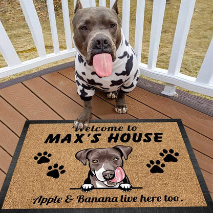 Welcome To Dog House Dog Doormat K228 888241
